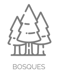 Bosques